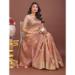 Picture of Radiant Organza Tan Saree