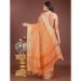 Picture of Radiant Organza Sandy Brown Saree
