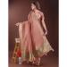 Picture of Elegant Organza Rosy Brown Saree