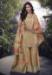 Picture of Ideal Chiffon Beige Straight Cut Salwar Kameez