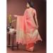 Picture of Magnificent Organza Light Coral Saree