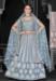 Picture of Bewitching Net Light Slate Grey Lehenga Choli