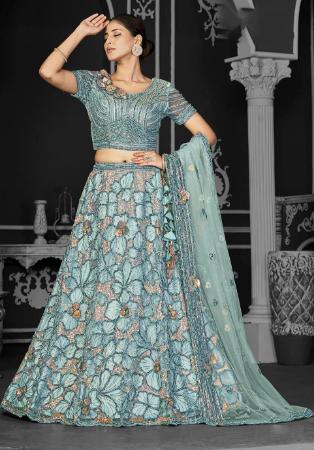 Picture of Classy Net Cadet Blue Lehenga Choli