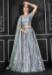 Picture of Charming Net Slate Grey Lehenga Choli
