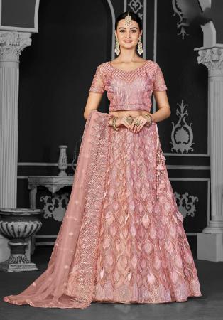Picture of Lovely Net Beige Lehenga Choli