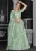 Picture of Delightful Net Dark Sea Green Lehenga Choli
