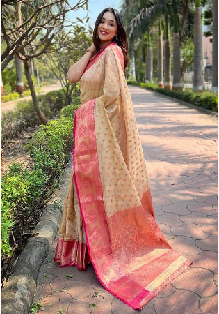 Picture of Nice Silk Tan Saree