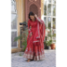 Picture of Well Formed Chiffon Indian Red Readymade Gown