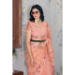 Picture of Lovely Net Dark Salmon Saree