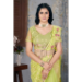 Picture of Enticing Net Burly Wood Saree