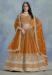 Picture of Beauteous Silk Chocolate Lehenga Choli