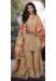 Picture of Lovely Chiffon Tan Readymade Salwar Kameez