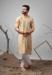Picture of Amazing Silk Tan Kurtas