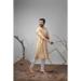 Picture of Amazing Silk Tan Kurtas