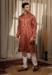 Picture of Admirable Silk Sienna Kurtas