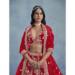 Picture of Classy Silk Crimson Lehenga Choli