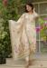 Picture of Shapely Silk Beige Readymade Salwar Kameez
