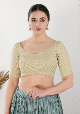 Picture of Beautiful Chiffon Tan Designer Blouse