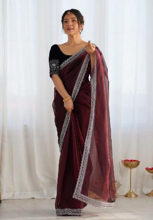 Picture of Excellent Net Saddle Brown Saree