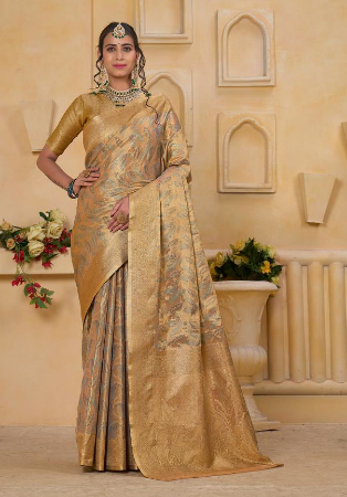 Picture of Admirable Chiffon Grey Saree