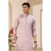 Picture of Appealing Silk Thistle Kurtas