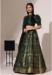Picture of Stunning Chiffon Dark Olive Green Lehenga Choli
