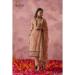 Picture of Lovely Georgette Sienna Readymade Salwar Kameez
