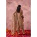 Picture of Lovely Georgette Sienna Readymade Salwar Kameez