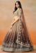 Picture of Graceful Georgette Sienna Lehenga Choli