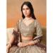 Picture of Graceful Georgette Sienna Lehenga Choli