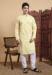 Picture of Lovely Cotton Wheat Kurtas