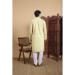 Picture of Lovely Cotton Wheat Kurtas
