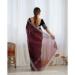 Picture of Well Formed Net Saddle Brown Saree