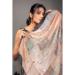 Picture of Delightful Georgette Tan Saree