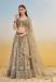 Picture of Admirable Silk Grey Lehenga Choli