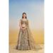 Picture of Admirable Silk Grey Lehenga Choli