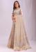 Picture of Good Looking Organza Beige Saree