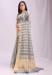 Picture of Pleasing Organza Light Slate Grey Saree