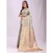 Picture of Stunning Organza Tan Saree