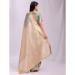 Picture of Stunning Organza Tan Saree