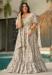Picture of Charming Rayon Grey Readymade Gown