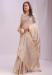 Picture of Radiant Organza Tan Saree