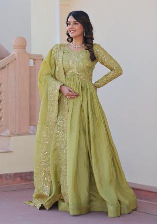 Picture of Exquisite Chiffon Dark Khaki Readymade Gown