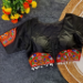 Picture of Wonderful Cotton Black Designer Blouse