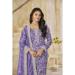 Picture of Chiffon Dark Slate Blue Straight Cut Salwar Kameez