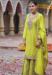 Picture of Magnificent Chiffon Khaki Straight Cut Salwar Kameez