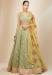 Picture of Ravishing Georgette Sienna Lehenga Choli