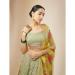 Picture of Ravishing Georgette Sienna Lehenga Choli