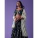 Picture of Alluring Georgette Dark Slate Grey Lehenga Choli
