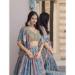 Picture of Chiffon & Silk Light Slate Grey Lehenga Choli